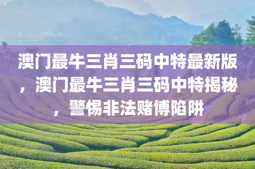 新澳門免費(fèi)精準(zhǔn)大全，策略改進(jìn)方案DU968.644
