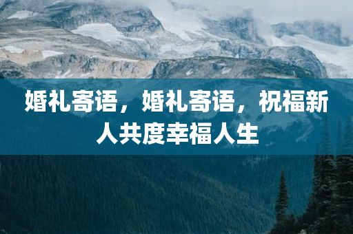 股票酒鬼酒行情深度解析與走勢(shì)展望