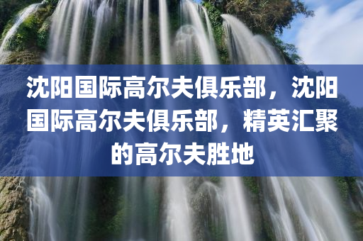 新澳門今晚開特馬結果查詢，實證研究計劃 OW49.86.1