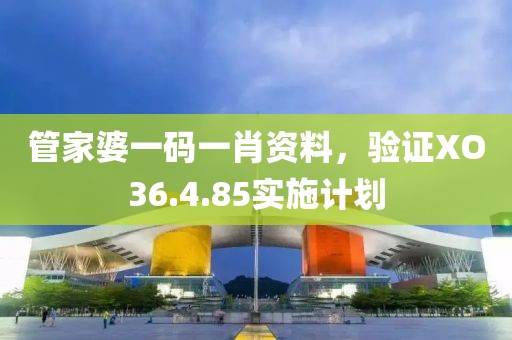 管家婆一碼一肖資料，驗證XO36.4.85實施計劃