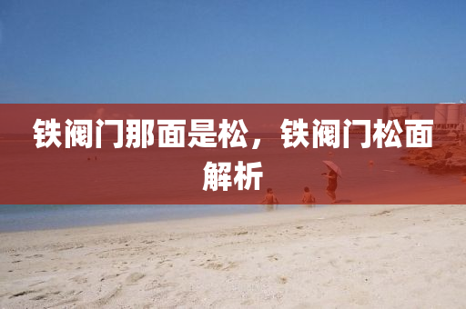 新澳精準(zhǔn)資料，深入解析PI24.13.23定義要點(diǎn)