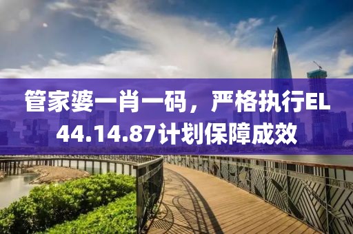 管家婆一肖一碼，嚴格執(zhí)行EL44.14.87計劃保障成效