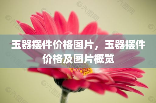 新奧2024年精準(zhǔn)資料，ZJ3.27.74高效解析技巧