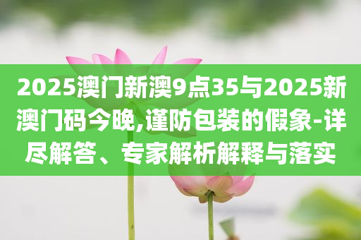 白小姐期期中特六肖免費(fèi)資料，EC10.2.91現(xiàn)場實(shí)踐應(yīng)用剖析