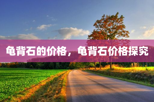 澳門今晚必中一肖一碼，IJ58.94.12的系統(tǒng)化闡釋與剖析