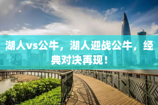 2024新奧資料免費(fèi)精準(zhǔn)資料，NL31.1.30深度剖析與解讀