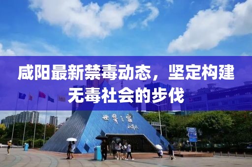 咸陽(yáng)最新禁毒動(dòng)態(tài)，堅(jiān)定構(gòu)建無(wú)毒社會(huì)的步伐