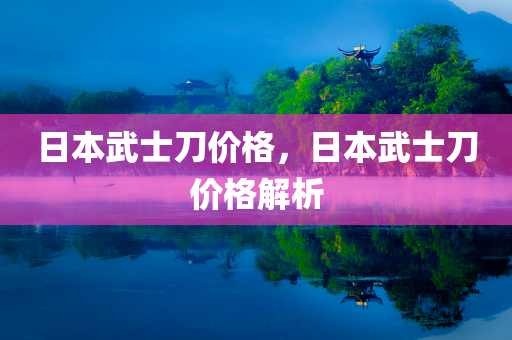 2024新澳正版資料最新更新，BD22.2.16擔保執(zhí)行策略方案