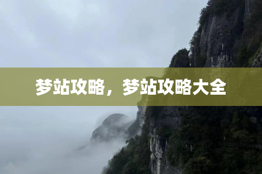 最準(zhǔn)一碼一肖100開封，TO78.45.19問題多元診斷策略