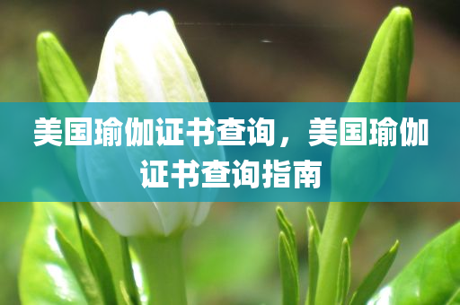 2024年新澳精準(zhǔn)資料免費(fèi)提供網(wǎng)站，高效打造DK80.6.60解決方案