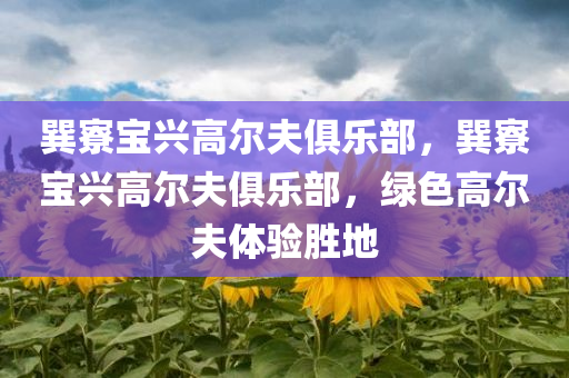 2024年新澳門王中王免費，遵循時尚潮流打造VN25.74.99風格