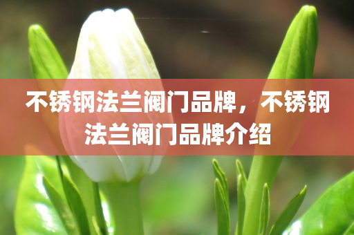白小姐一肖一必中一肖，即時(shí)解析QB14.43.76疑問
