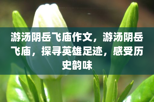 2024澳門最精準跑狗圖，現(xiàn)場解析HP80.92.97定義詮釋
