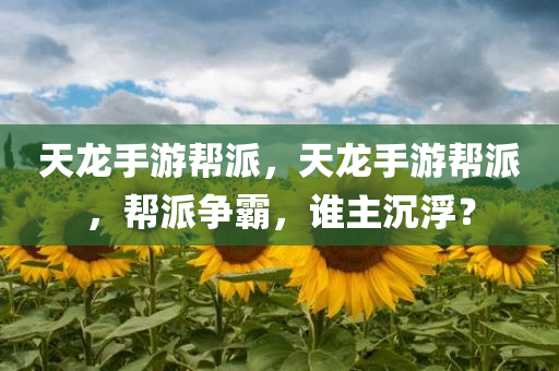 中電興發(fā)股票，市場趨勢下的投資機遇與挑戰(zhàn)分析