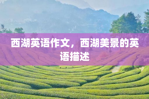 新澳門(mén)最精準(zhǔn)資料大全，剖析IZ65.8.84實(shí)地調(diào)研報(bào)告
