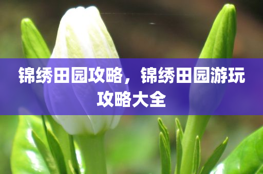 熱血沸騰的視覺盛宴，最新動作片推薦大賞！