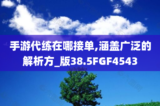 金華597人才網(wǎng)最新職位發(fā)布，探尋職業(yè)發(fā)展的無限機遇與潛力