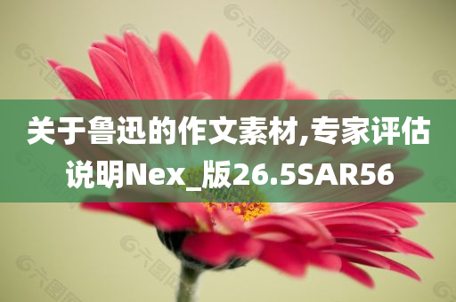 血脂康膠囊價格探究，價格因素及其相關(guān)探討