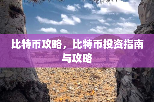海南廣播電視臺，引領(lǐng)海南文化發(fā)展的先鋒力量巨頭