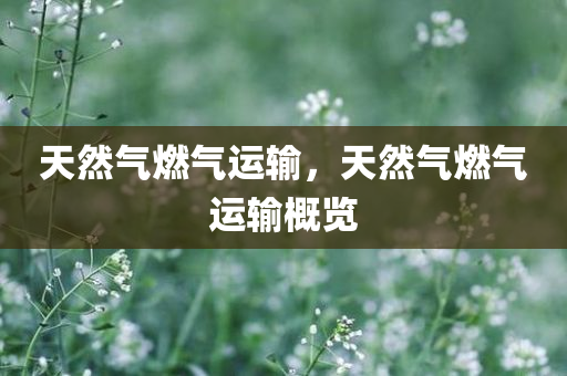 今晚澳門9點(diǎn)35分開什么,實(shí)時(shí)分析處理,優(yōu)化版251.129