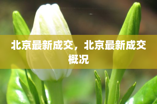 最新國家行政區(qū)劃規(guī)劃揭曉，塑造未來中國新版圖藍(lán)圖揭曉