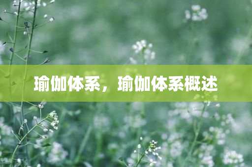 2024年新奧全年資料,優(yōu)化方案設(shè)計(jì)指南,家常版913.33