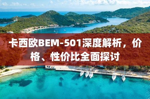 卡西歐BEM-501深度解析，價(jià)格、性價(jià)比全面探討
