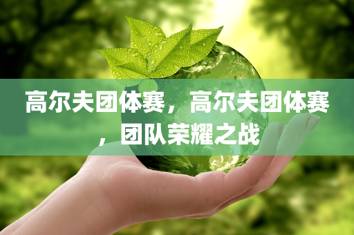 吉利遠(yuǎn)景X3最新報(bào)價(jià)及全面解析與購(gòu)車指南