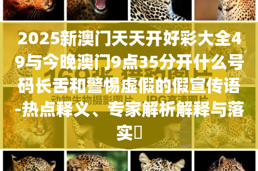 女排比賽中的漏洞，挑戰(zhàn)與機遇并存，尋求突破之路