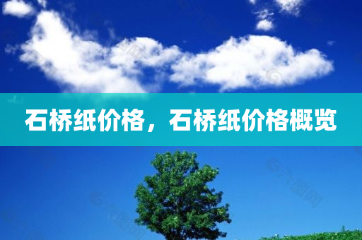 新澳歷史開獎最新結果查詢今天,深入探討方案策略,設計師風格RR111.452