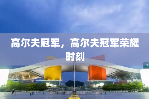 2024年新奧天天精準(zhǔn)資料大全,效率評估方案,交互形式DL84.11