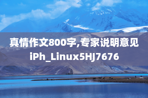 陳進生比賽視頻，展現(xiàn)獨特魅力與視覺盛宴的解析