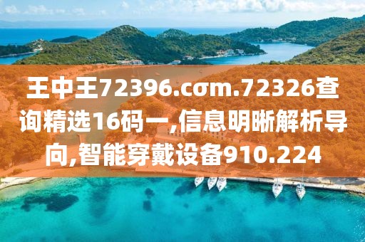 王中王72396.cσm.72326查詢精選16碼一,信息明晰解析導(dǎo)向,智能穿戴設(shè)備910.224