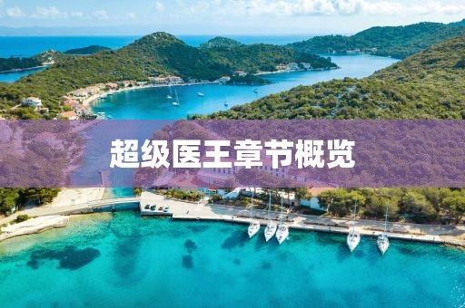 超級(jí)醫(yī)王章節(jié)概覽