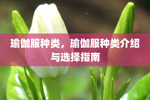 新澳門4949六開彩,專家深度解讀定義內(nèi)涵,管理界面310.113