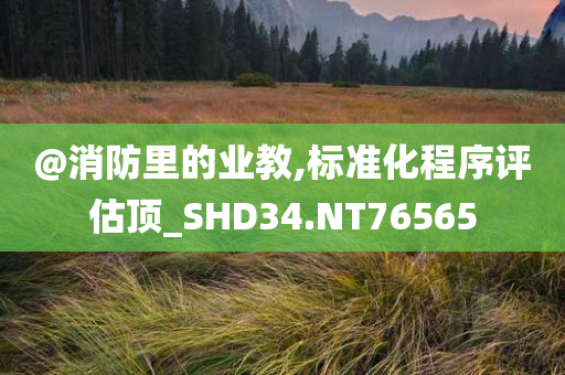 武漢熱門(mén)包子店尋求轉(zhuǎn)讓，背后的故事與未來(lái)展望探究