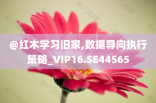 荔玉高速最新規(guī)劃方案引領(lǐng)區(qū)域動(dòng)脈升級(jí)，助力區(qū)域發(fā)展提速
