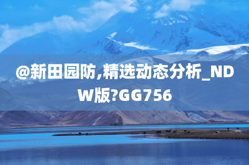 企鵝最新動態(tài)，持續(xù)探索創(chuàng)新，步伐堅定不停歇