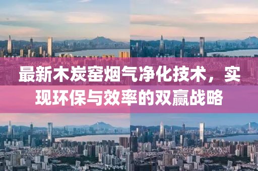 最新木炭窯煙氣凈化技術(shù)，實(shí)現(xiàn)環(huán)保與效率的雙贏戰(zhàn)略