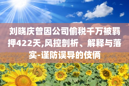 甘婷婷電影，星途璀璨的見(jiàn)證者