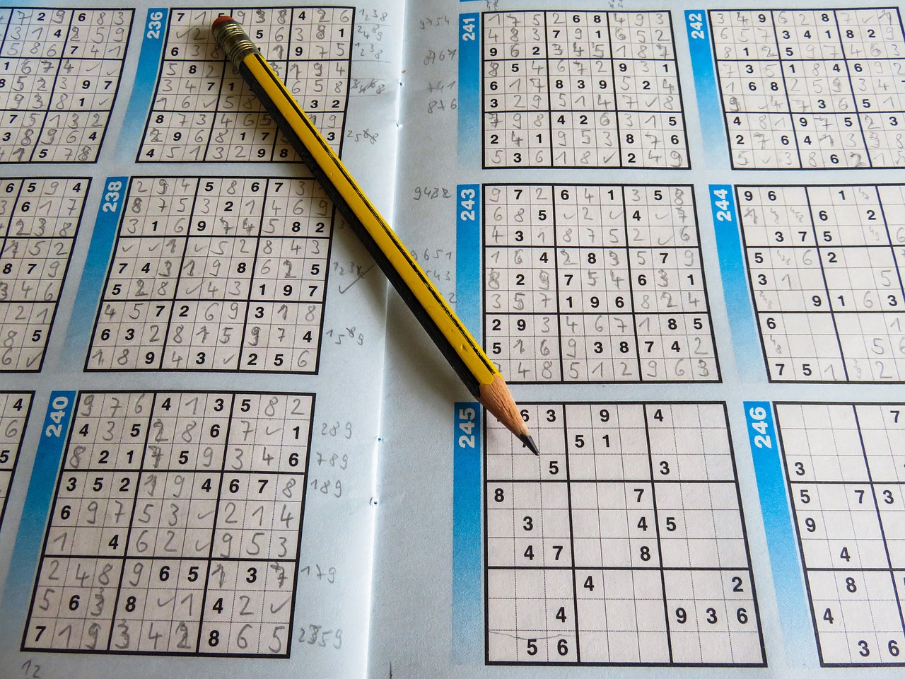 新澳門資料大全正版資料2024年免費(fèi)下載,全身心解答具體，界面版升級版NC3103.6013