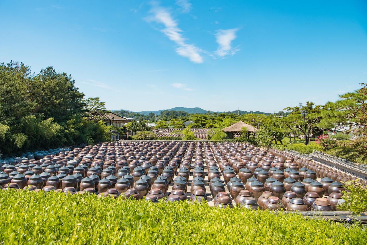 安徽李學(xué)文最新動態(tài)，探索前沿科技，引領(lǐng)未來發(fā)展之路