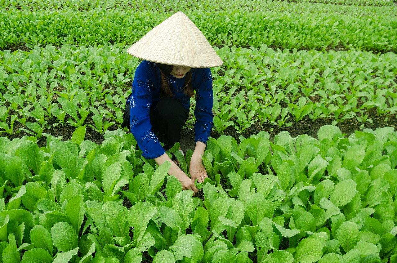 親賢村史最新動(dòng)態(tài)更新，最新發(fā)展及變化