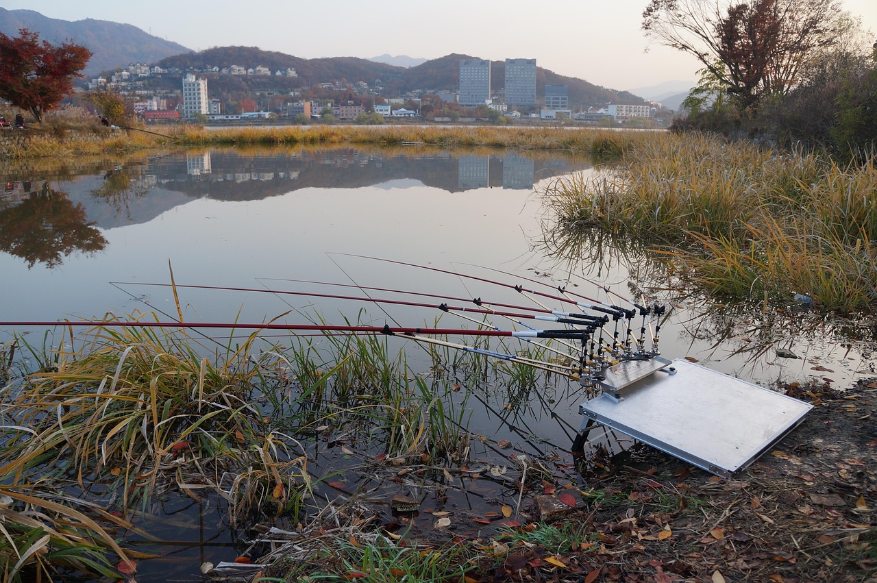 革新釣魚體驗(yàn)，最新釣魚設(shè)備助你提升釣魚樂趣