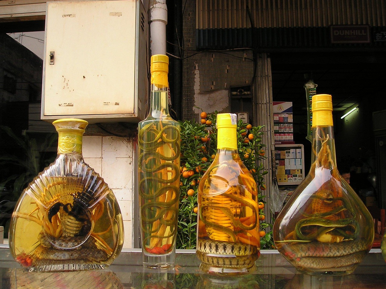 麟州坊酒價格大全，最新價格一覽表