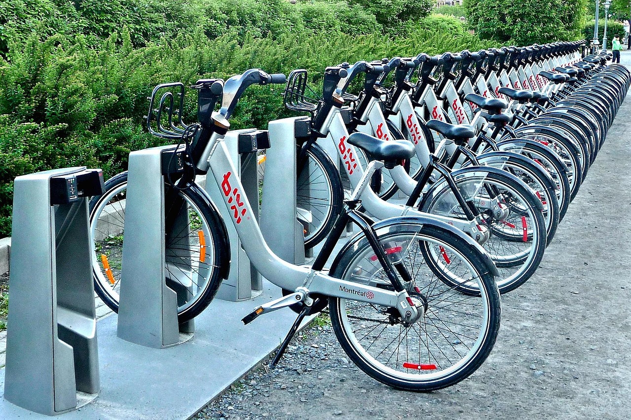 殘疾車四輪圖片及價格分析，全面展示與深度解讀