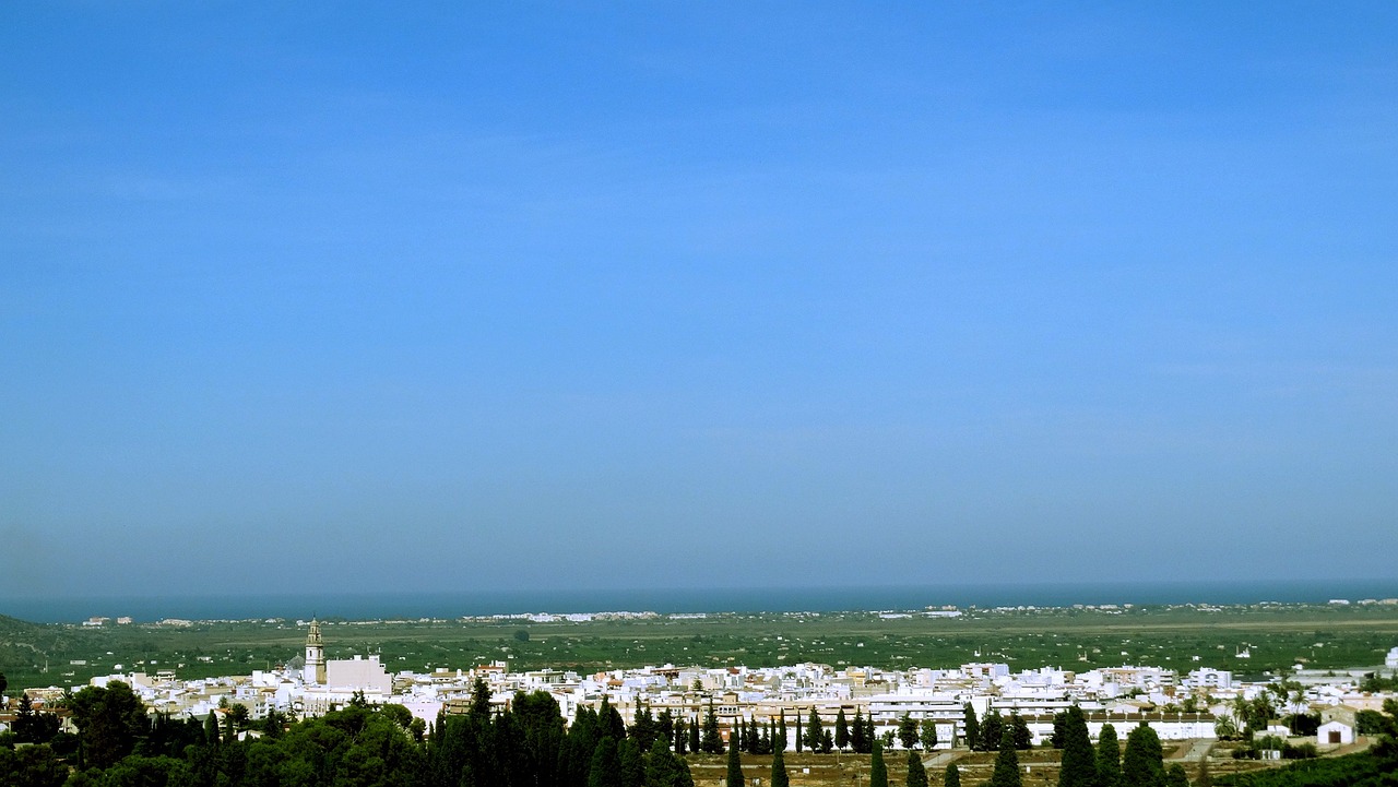 最新糯稻市場(chǎng)動(dòng)態(tài)及其深度分析