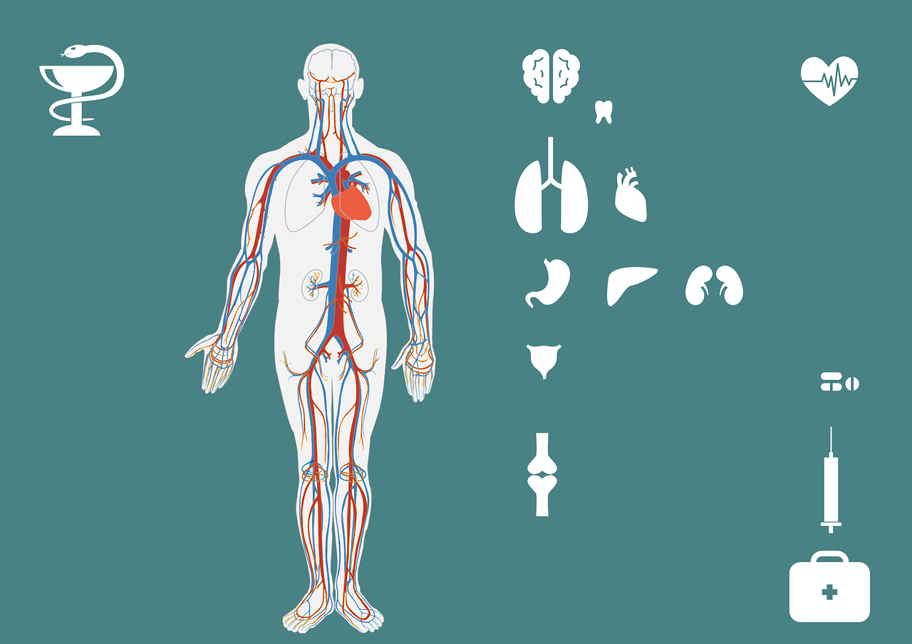 疫情線索追蹤，揭示病毒傳播路徑，守護(hù)人類健康防線之戰(zhàn)