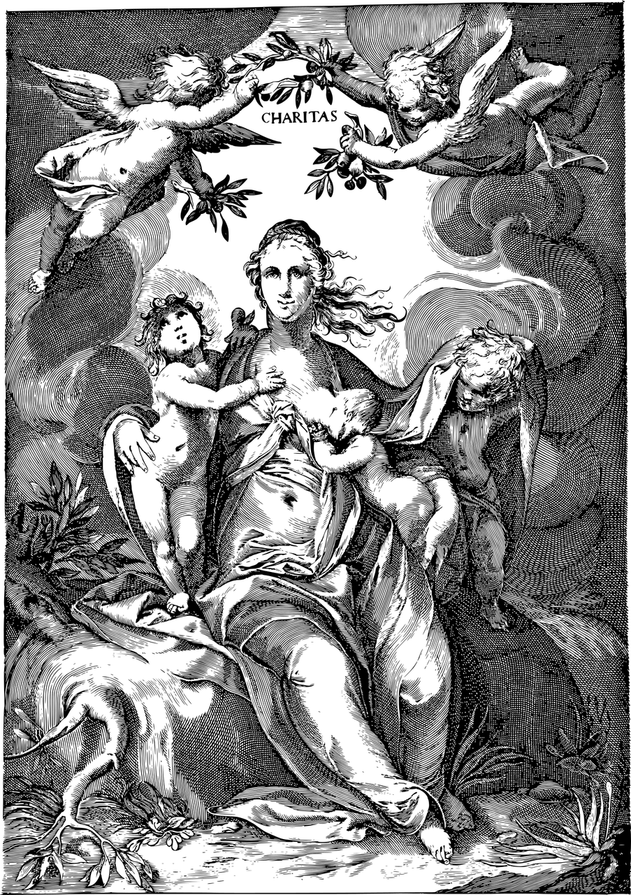 最新倫理電影下載，探索道德邊界的藝術(shù)之旅